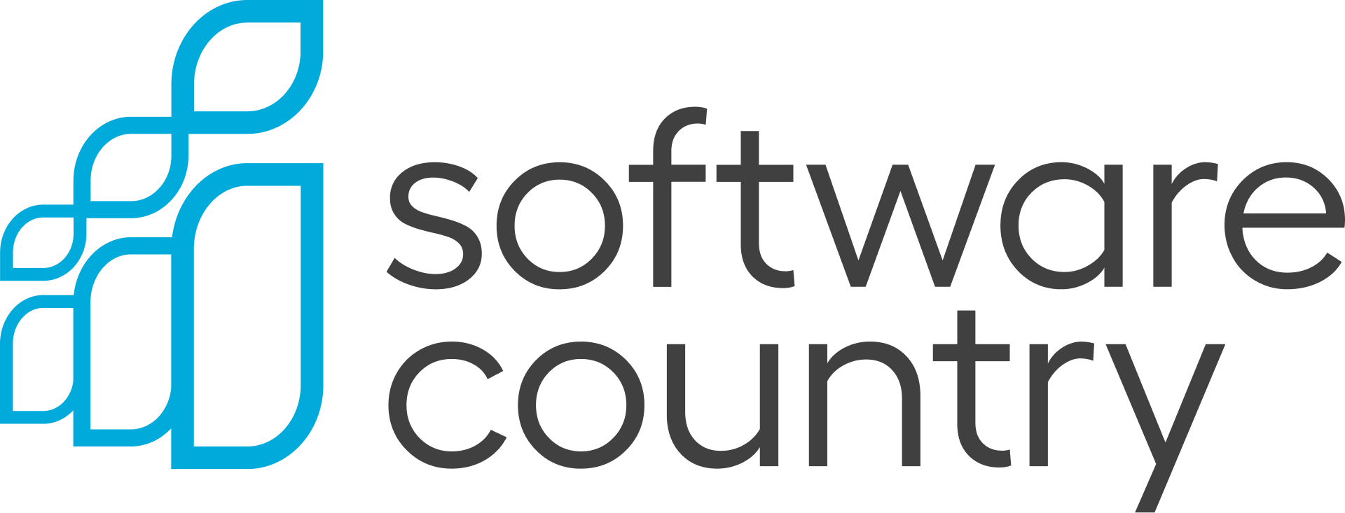 Software Country logo